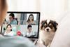 staying in touch 