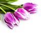 funeral expenses
