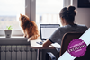 Woman sat in home at desk with cat