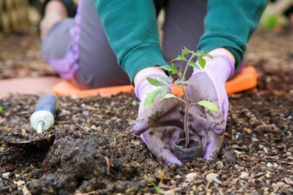 Developing resilience