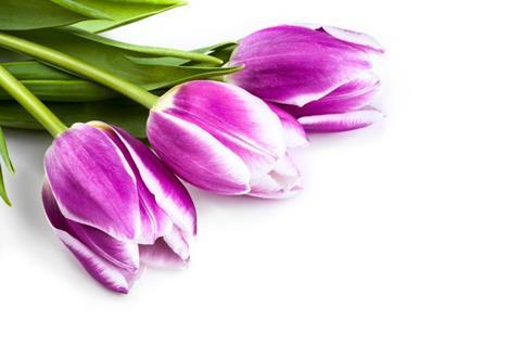 funeral expenses