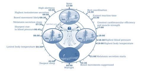 Graphic 1